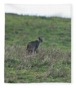 Bobcat in Point Reyes Fleece Blanket by Brandon Wichmann