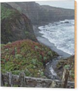 Rocky Coastline With Vibrant Foliage Wood Print