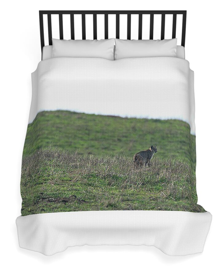 Bobcat in Grassy Field Duvet Cover