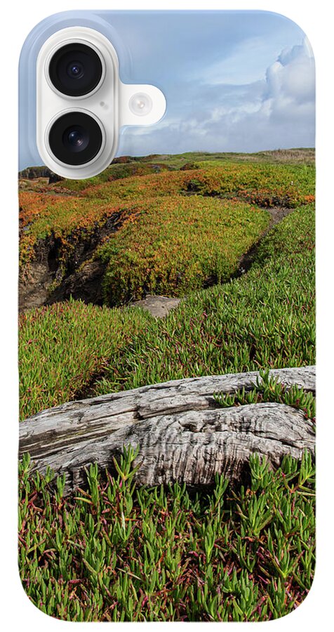 Coastal Landscape with Driftwood iPhone Case