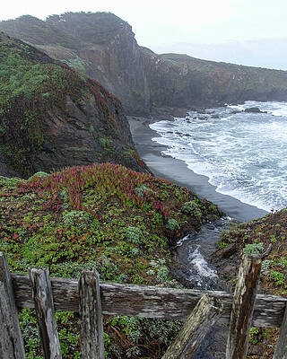 Vibrant Wall Art featuring the photograph Rocky Coastline With Vibrant Foliage by Brandon Wichmann