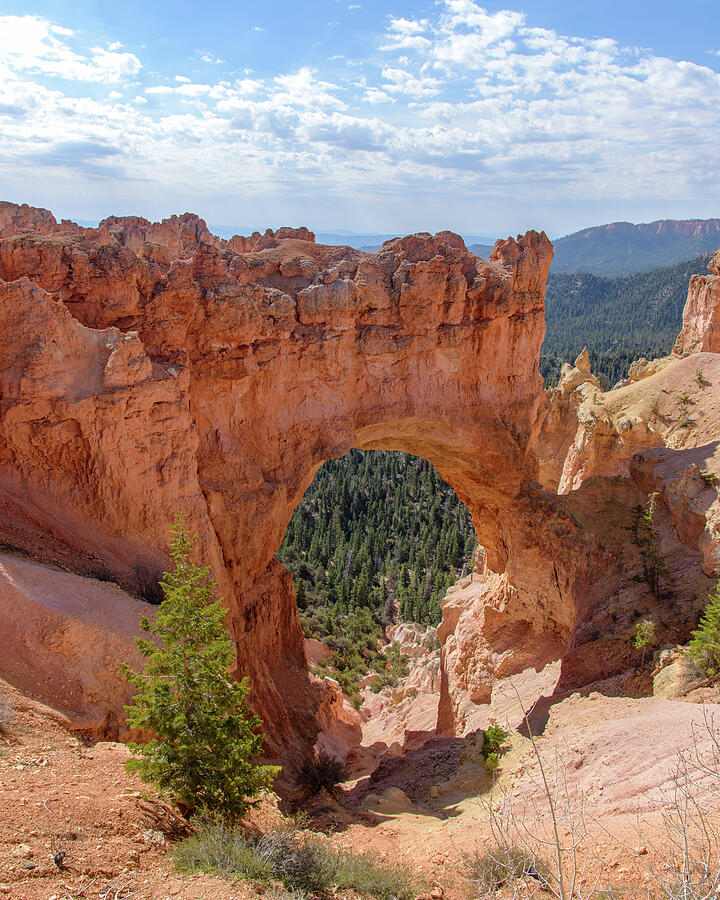 Majestic Natural Rock Arch in Bryce Canyon National Park Photograph by Brandon Wichmann