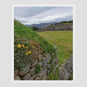 Saqsaywaman In Cusco Peru Sticker