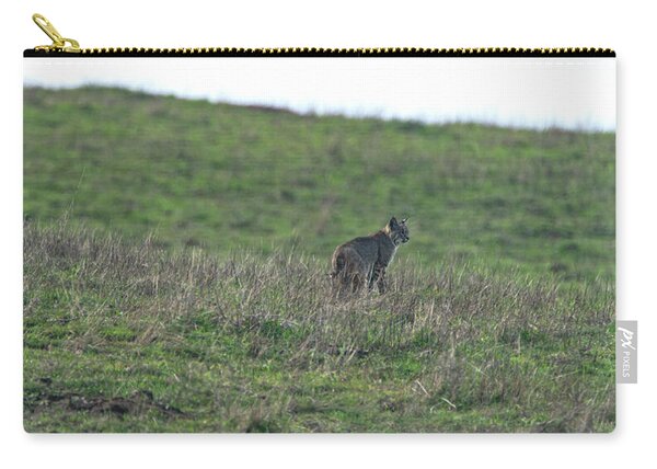 Bobcat in Grassy Field Zip Pouch