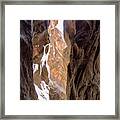 Sunlit Canyon Walls In The Narrows Framed Print