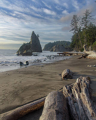 Rugged Coastal Landscape Wall Art