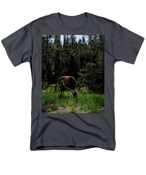 Elk Grazing In A Sunlit Forest In Grand Teton National Park Men's T-Shirt  (Regular Fit)