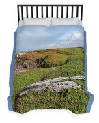 Coastal Landscape with Driftwood Duvet Cover