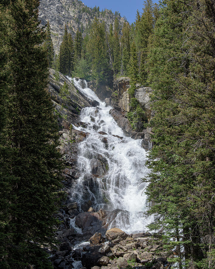 Waterfall Amidst Forest Landscape Photograph - Waterfall Amidst Forest Landscape by Brandon Wichmann