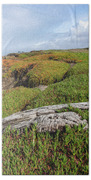 Coastal Landscape with Driftwood Beach Towel