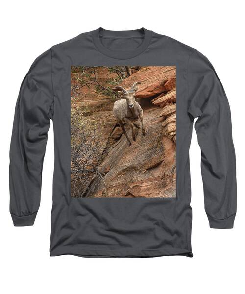 Big Horn Sheep Agile Descent In Zion National Park Long Sleeve T-Shirt