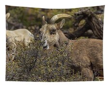 Mountain Goats in Natural Habitat Tapestry