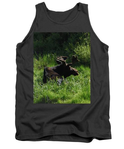 Moose Resting In Sunlit Meadow In Grand Teton National Park Tank Top