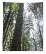 Majestic Forest Canopy In Olympic National Park Fleece Blanket