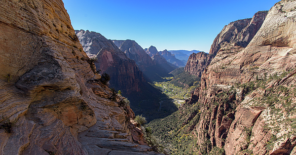 Zion National Park Art
