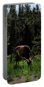 Elk Grazing In A Sunlit Forest In Grand Teton National Park Portable Battery Charger
