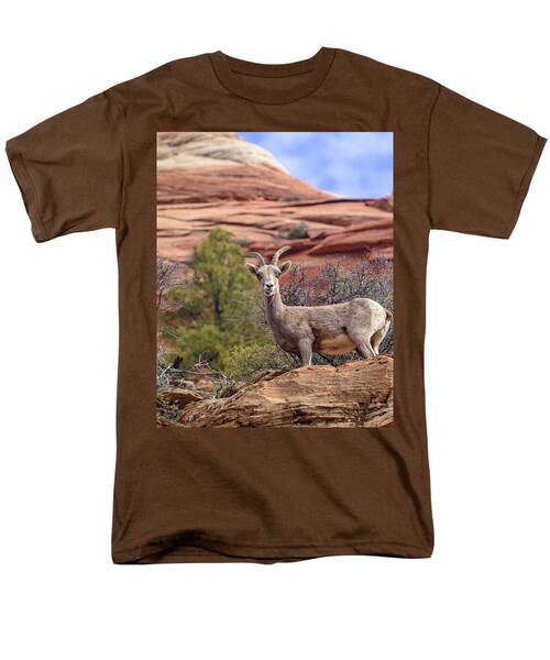 Big Horn Sheep In Zion National Park Men's T-Shirt  (Regular Fit)