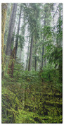 Misty Forest Silhouettes In Olympic National Park Beach Towel