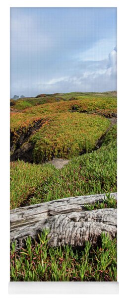 Coastal Landscape with Driftwood Yoga Mat