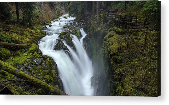 Serene Flow Through Mossy Forest Acrylic Print