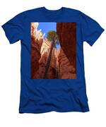 Tree Reaches Skyward In Bryce Canyon National Park T-Shirt