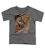 Bighorn Sheep On Rocky Terrain Toddler T-Shirt