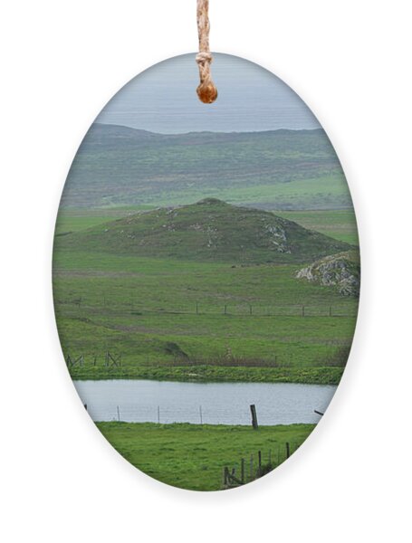 Tranquil Green Hills And Distant Sea Ornament