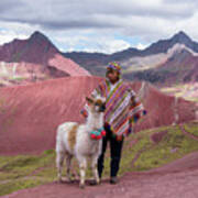 Peruvian Scene With Red Valley And Llama Art Print