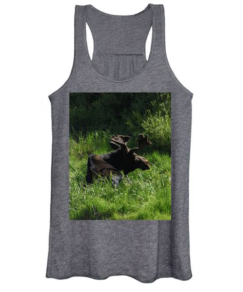 Moose Resting In Sunlit Meadow In Grand Teton National Park Women's Tank Top