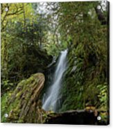 Serene Waterfall in Lush Forest Acrylic Print