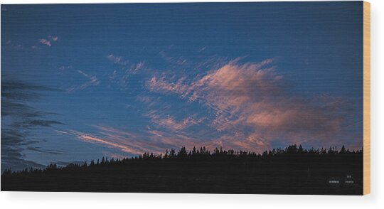Twilight Over Forested Horizon Wood Print