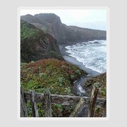 Rocky Coastline With Vibrant Foliage Sticker