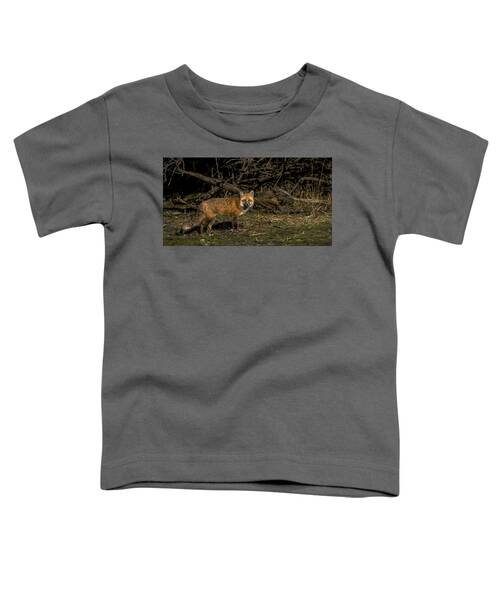 Fox In Sunlit Forest Clearing Toddler T-Shirt