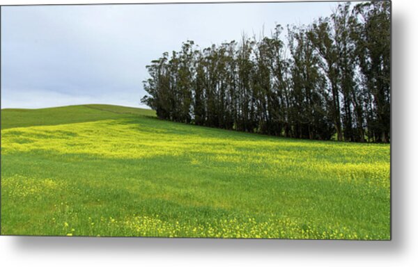 Rolling Hills With Blooming Wildflowers Metal Print