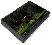 Wildlife Jigsaw Puzzles