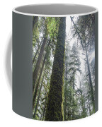 Majestic Forest Canopy In Olympic National Park Coffee Mug