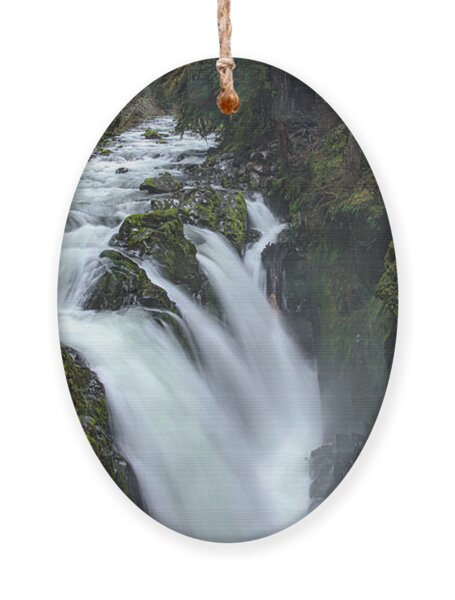 Serene Flow Through Mossy Forest Ornament