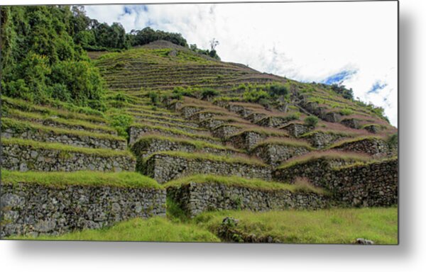 Ancient Terraces Amidst Greenery Metal Print