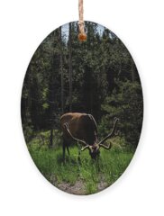 Wildlife Holiday Ornaments