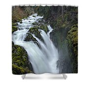 Serene Flow Through Mossy Forest Shower Curtain