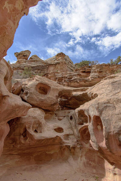 Majestic Rock Formations In Capitol Reef National Park Art Print