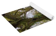 Moss-Covered Trees in a Dense Forest Yoga Mat