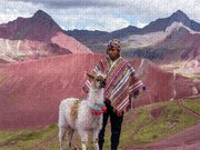 Peruvian Scene With Red Valley And Llama Jigsaw Puzzle