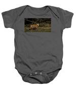 Fox In Sunlit Forest Clearing Baby One-Piece