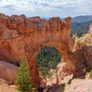 Majestic Natural Rock Arch In Bryce Canyon National Park Poster