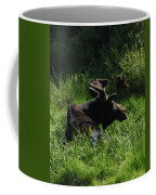 Moose Resting In Sunlit Meadow In Grand Teton National Park Coffee Mug