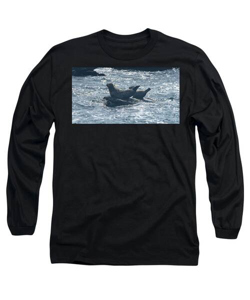 Seals Resting On Rocky Shoreline Long Sleeve T-Shirt