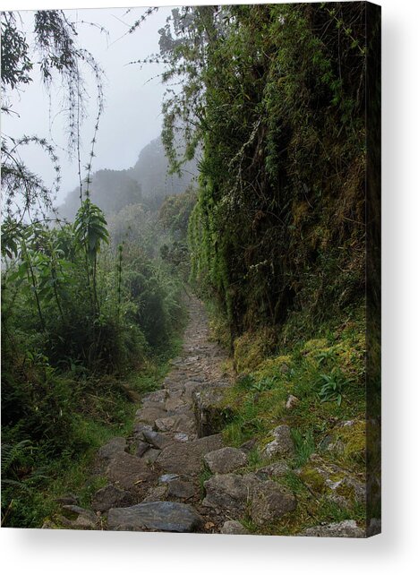 Misty Forest Pathway On The Inca Trail Acrylic Print