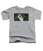 Serene Flow Through Mossy Forest Toddler T-Shirt