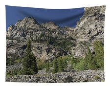 Majestic Mountain Peaks Under Blue Sky In Cascade Canyon Tapestry
